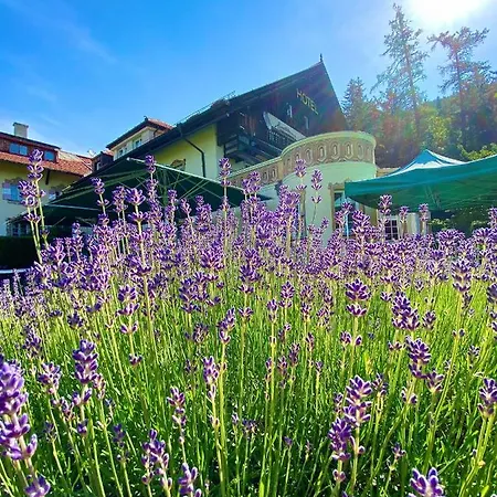 Restaurant Gruenwalderhof 3*