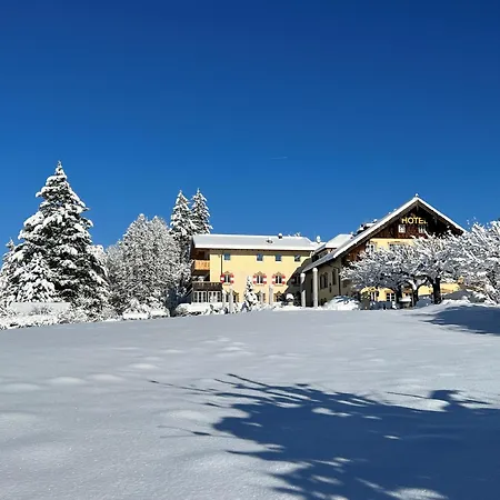 Restaurant Gruenwalderhof 3* 帕奇