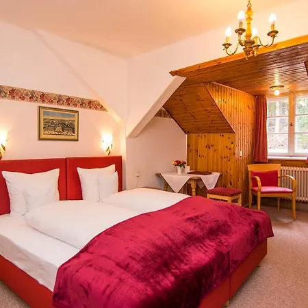 Hotel Restaurant Gruenwalderhof 3*
